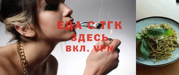 индика Балахна