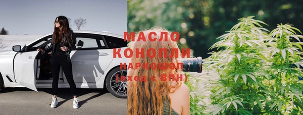 индика Балахна